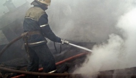 Учора в пожежі під Полтавою загинули троє осіб